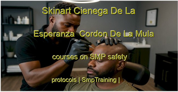 Skinart Cienega De La Esperanza  Cordon De La Mula courses on SMP safety protocols | SmpTraining | SmpClasses | SkinartTraining-Mexico
